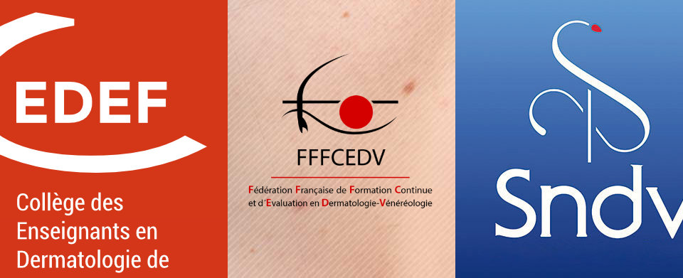 Les autres instances de la Dermatologie